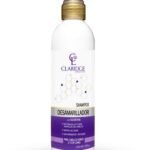 SHAMPOO CLARIDGE PROACTIVE x300ML DESAMARILLADOR