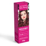 TINT.ALFAPARF POMO 6.66RUBIO OSCURO ROJ INT